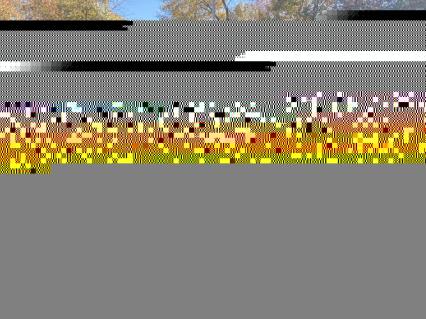 1953 Mercury Monterey