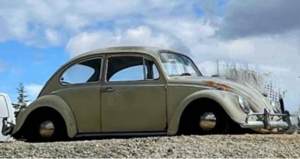 1965 Volkswagen Beetle