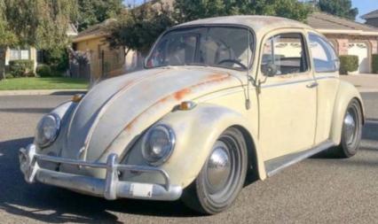 1965 Volkswagen Beetle