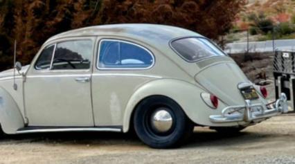 1965 Volkswagen Beetle