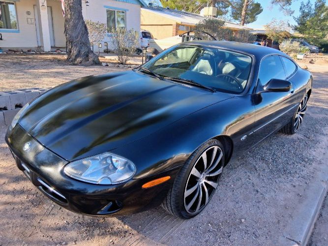 Image 15