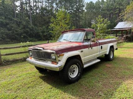 1980 Jeep J10