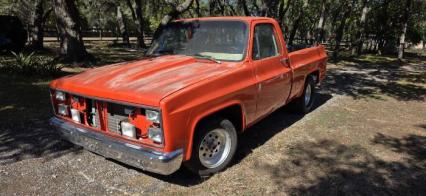 1979 Chevrolet C10