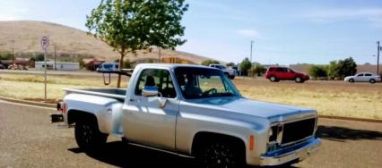 1978 Chevrolet Stepside