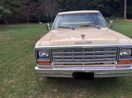 1985 Dodge D100