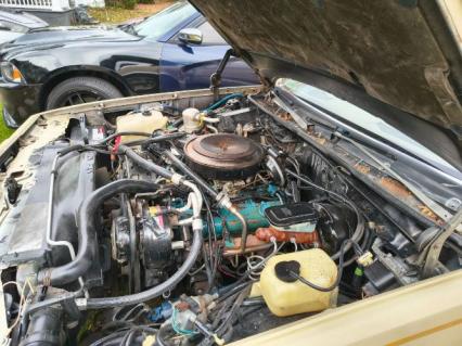 1981 Chevrolet El Camino