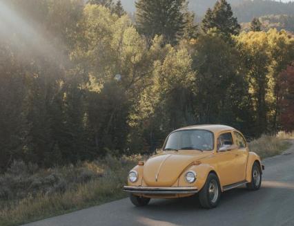 1973 Volkswagen Beetle