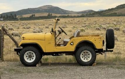 1951 Jeep CJ5