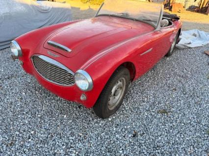 1959 Austin Healey 100-6
