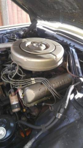 1964 Ford Thunderbird
