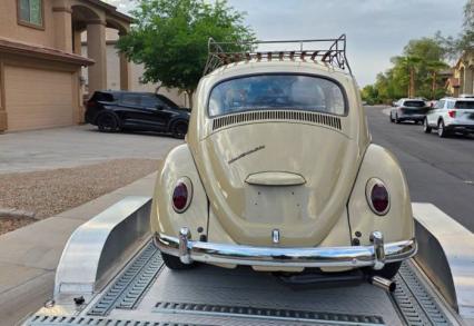 1967 Volkswagen Beetle
