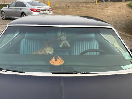 1970 Oldsmobile Toronado