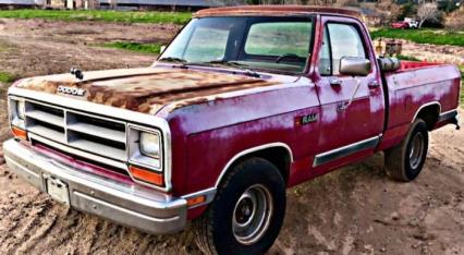 1988 Dodge D100
