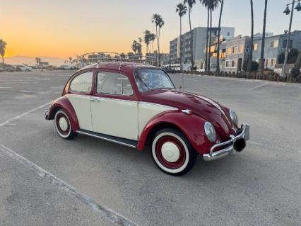 1966 Volkswagen Beetle