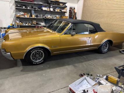 1967 Oldsmobile Cutlass