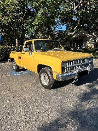 1981 Chevrolet C20
