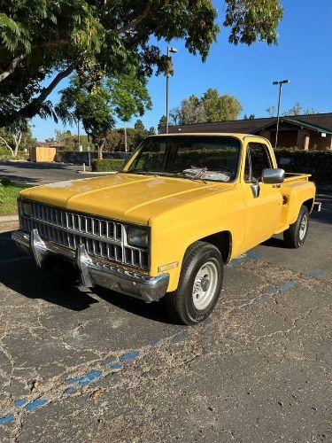 1981 Chevrolet C20