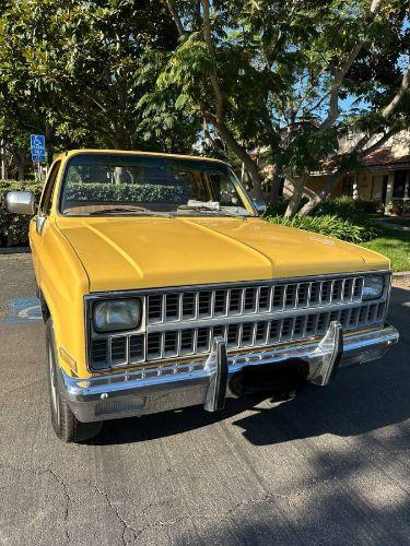 1981 Chevrolet C20