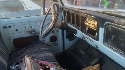1973 Ford F100
