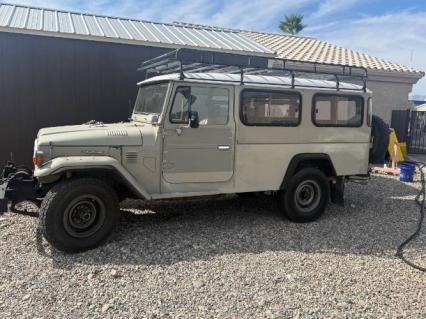 1980 Toyota Land Cruiser