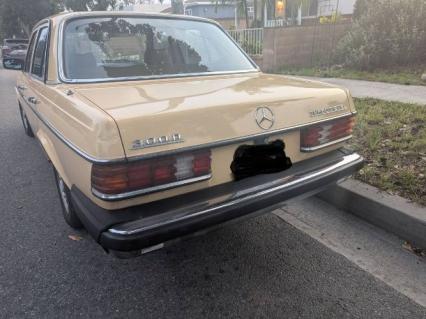 1984 Mercedes Benz 300