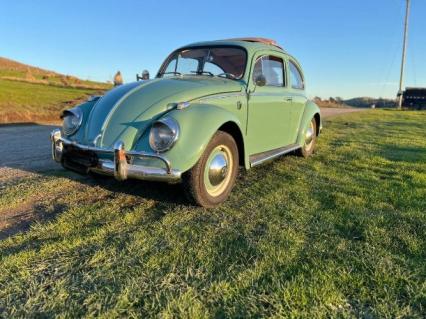 1961 Volkswagen Beetle