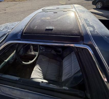 1985 Subaru Brat