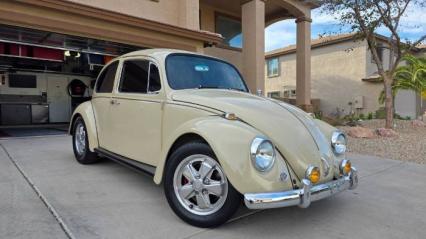 1967 Volkswagen Beetle