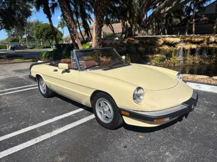 1984 Alfa Romeo Spider
