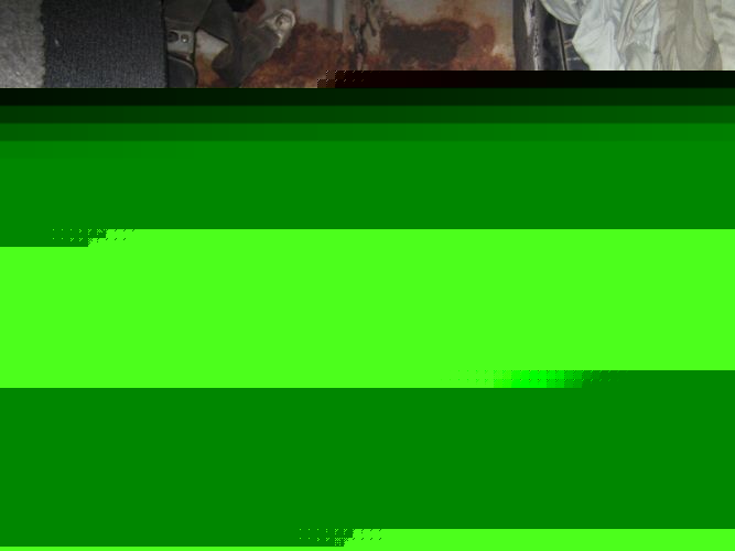 Image 30