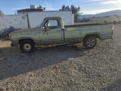 1977 Dodge D10