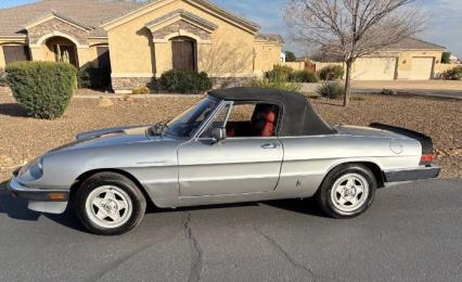 1985 Alfa Romeo Spider Veloce