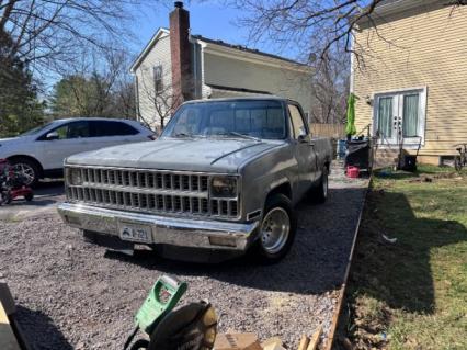 1982 Chevrolet C10