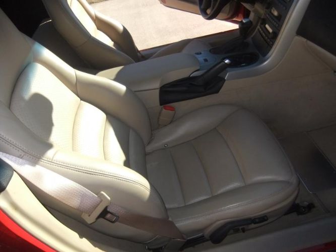 Image 12