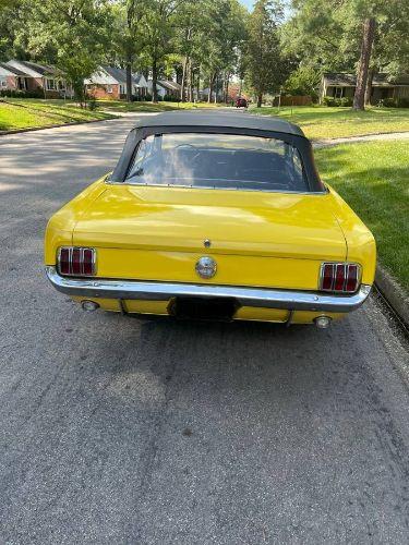 1966 Ford Mustang