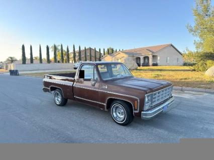 1979 GMC Sierra