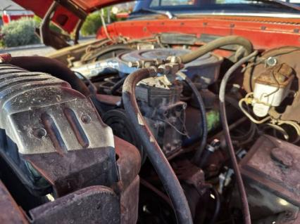 1975 Ford F250