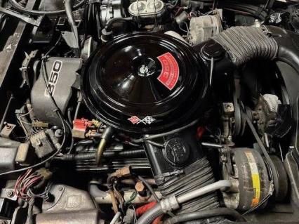 1981 Chevrolet Corvette
