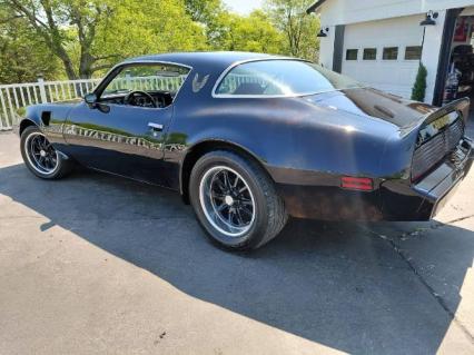 1979 Pontiac Trans Am