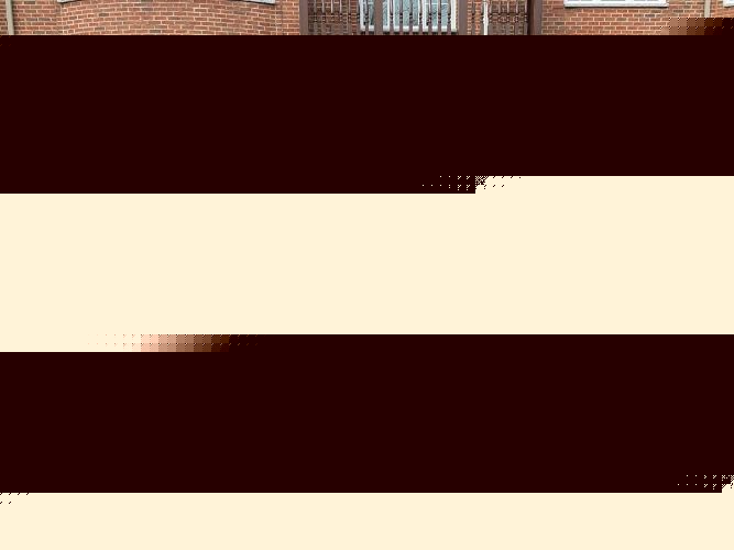 Image 17