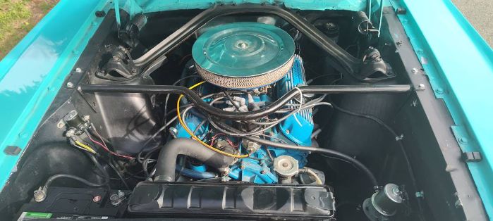 Image 12