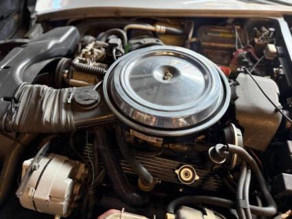 1981 Chevrolet Corvette