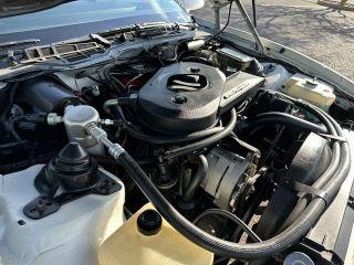 1983 Pontiac Firebird