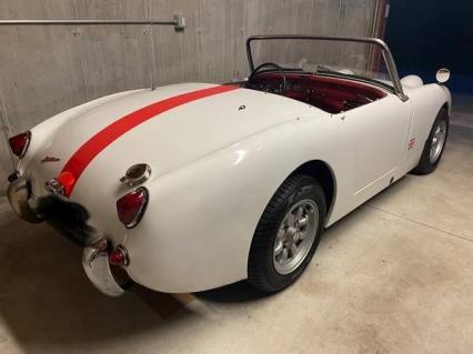 1960 Austin Healey Bugeye Sprite