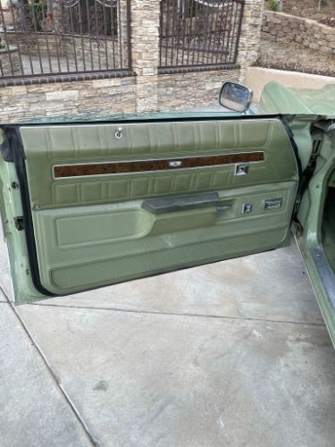 Image 19