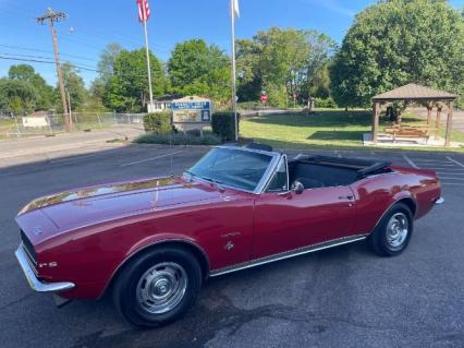 1967 Chevrolet Camaro