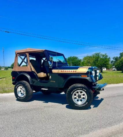 1976 Jeep Renagade