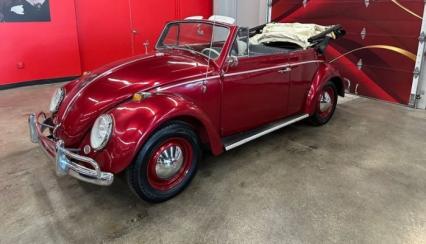 1964 Volkswagen Beetle