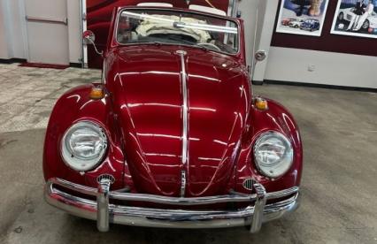 1964 Volkswagen Beetle