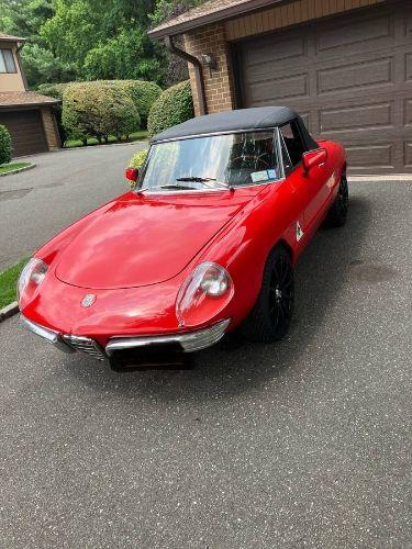 1969 Alfa Romeo Spider
